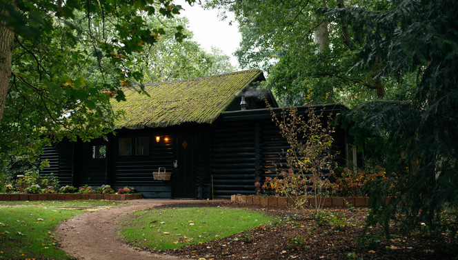 Forest cabin